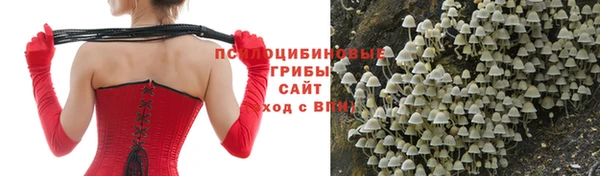 mix Козловка