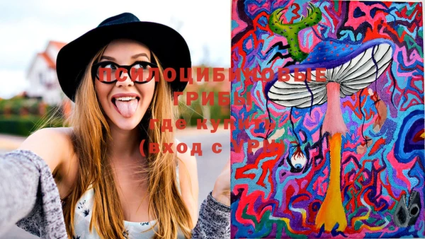 mix Козловка