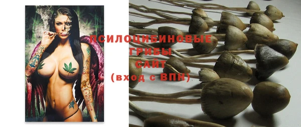 таблы Кодинск