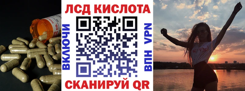 кракен как зайти  Краснознаменск  ЛСД экстази кислота 