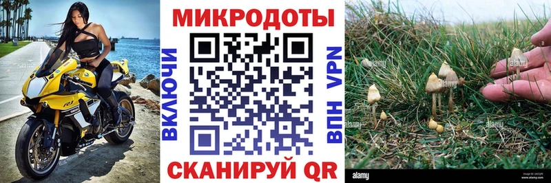 mega ссылка  это наркотические препараты  Псилоцибиновые грибы GOLDEN TEACHER  Краснознаменск 